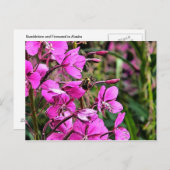 Bee Nice Briefkaart (Voorkant / Achterkant)