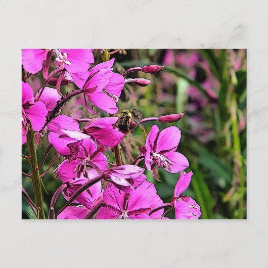 Bee Nice Briefkaart (Voorkant)