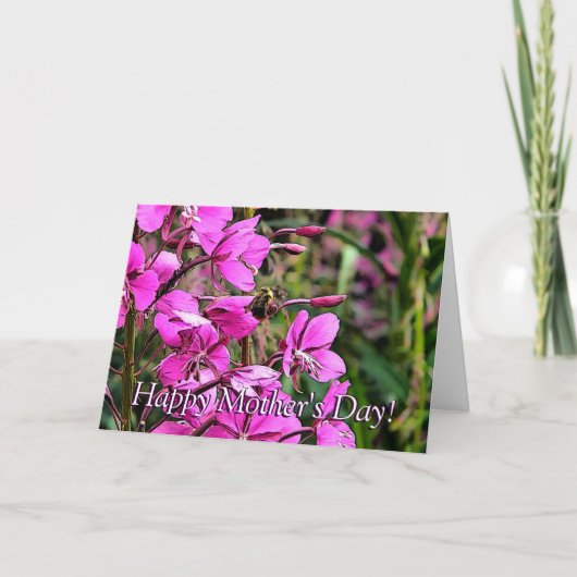 Bee Nice Kaart (Voorkant)