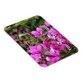 Bee Nice Magneet (Rechterzijde)