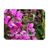 Bee Nice Magneet (Horizontaal)