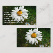 Bee on Daisy Alaskan Summer Nature Photo Visitekaartje (Voorkant / Achterkant)