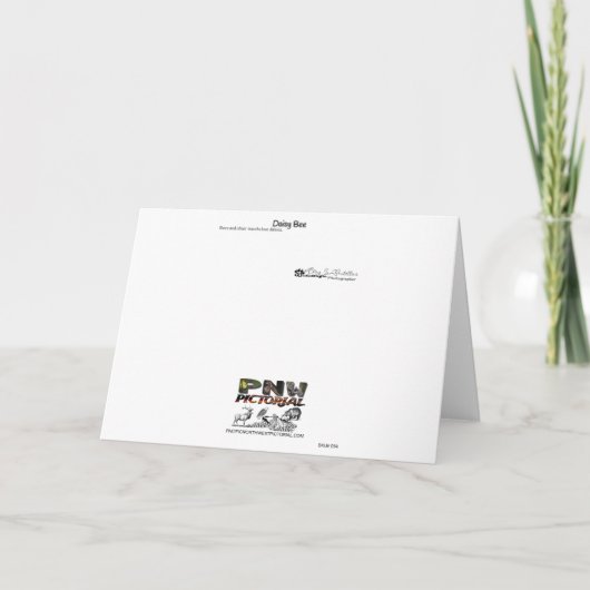 Bee on Daisy - Mooie Daisy bedankkaart (Achterkant)