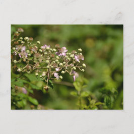 Bee on flower briefkaart