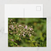 Bee on flower briefkaart (Voorkant / Achterkant)