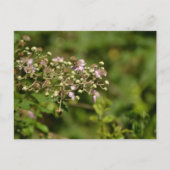 Bee on flower briefkaart (Voorkant)