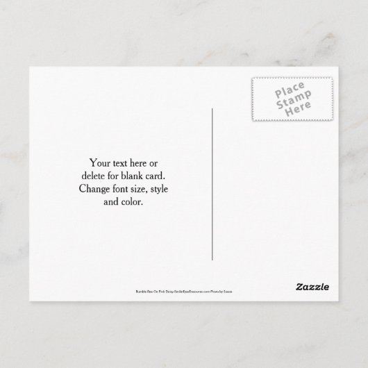 Bee On Pink Daisy Flower Photography  Briefkaart (Achterkant)