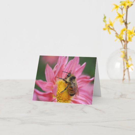 Bee On Pink Daisy Flower Photography Note Kaart (Gele Bloem)