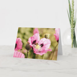 Bee on Pink Poppy Note Kaart