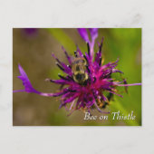 Bee on purple thistle flower briefkaart (Voorkant)