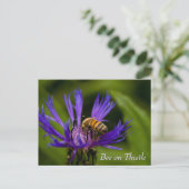 Bee on purple thistle flower briefkaart (Staand voorkant)