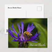 Bee on purple thistle flower briefkaart (Voorkant / Achterkant)