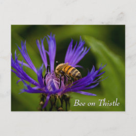 Bee on purple thistle flower briefkaart