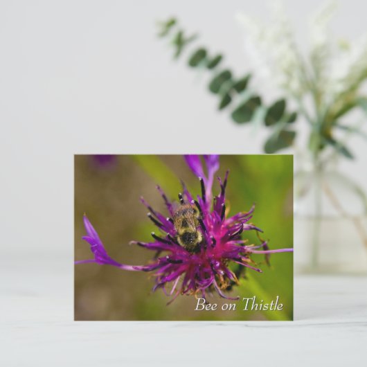 Bee on purple thistle flower briefkaart (Staand voorkant)