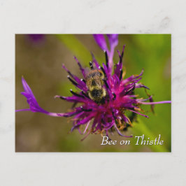 Bee on purple thistle flower briefkaart