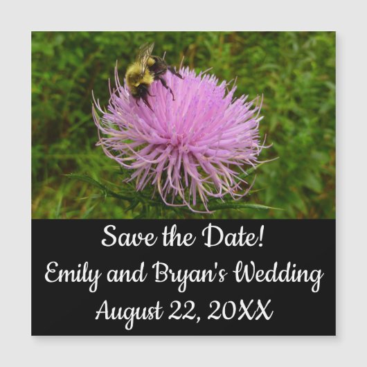 Bee on Thistle Flower Nature (Voorkant)