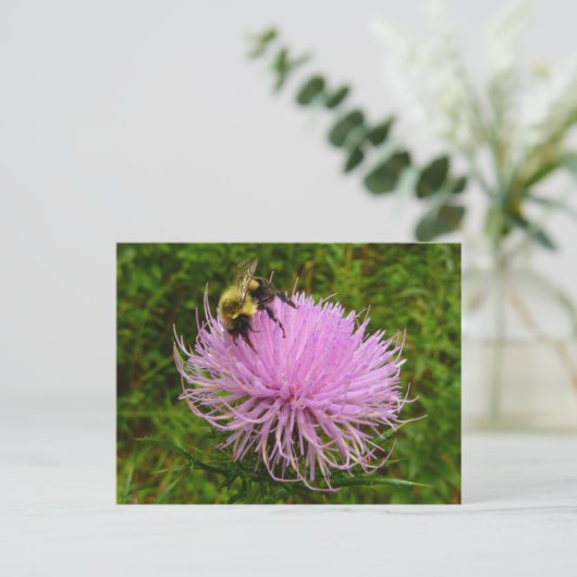Bee on Thistle Flower Natuur Briefkaart (Staand voorkant)
