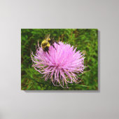 Bee on Thistle Flower Natuur Canvas Afdruk (Voorkant)