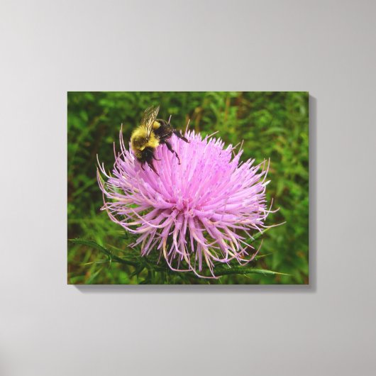 Bee on Thistle Flower Natuur Canvas Afdruk (Voorkant)