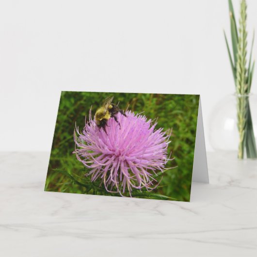 Bee on Thistle Flower Natuur Kaart (Voorkant)
