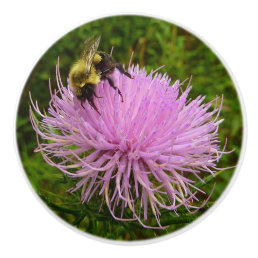 Bee on Thistle Flower Natuur Keramische Knop (Voorkant)