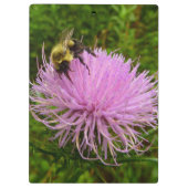 Bee on Thistle Flower Natuur Klembord (Achterkant)