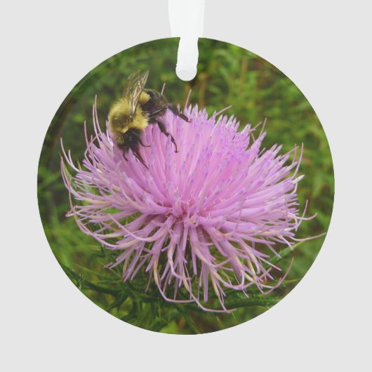 Bee on Thistle Flower Natuur Ornament (achterkant)