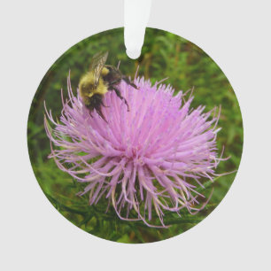 Bee on Thistle Flower Natuur Ornament