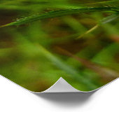 Bee on Thistle Flower Natuur Poster (Hoek)