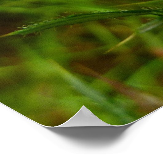 Bee on Thistle Flower Natuur Poster (Hoek)