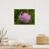 Bee on Thistle Flower Natuur Poster (Keuken)