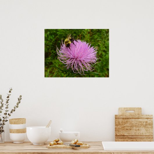 Bee on Thistle Flower Natuur Poster (Keuken)
