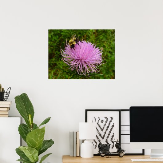 Bee on Thistle Flower Natuur Poster (Thuiskantoor)