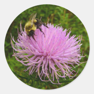 Bee on Thistle Flower Natuur Ronde Sticker