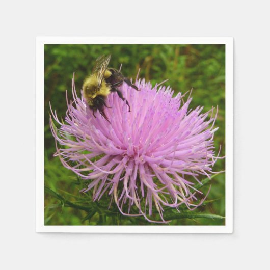 Bee on Thistle Flower Natuur Servet (Voorkant)