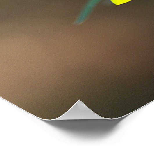 Bee on Yellow Wildflower Poster (Hoek)