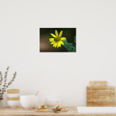 Bee on Yellow Wildflower Poster (Keuken)