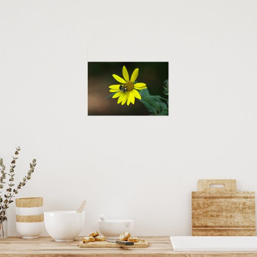 Bee on Yellow Wildflower Poster (Keuken)