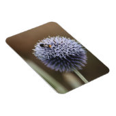 Bee op Allium magnet Magneet (Rechterzijde)