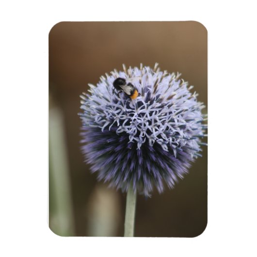 Bee op Allium magnet Magneet (Verticaal)