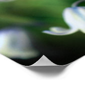 Bee op blauwe kieuwventiel Sluiten Poster (Hoek)