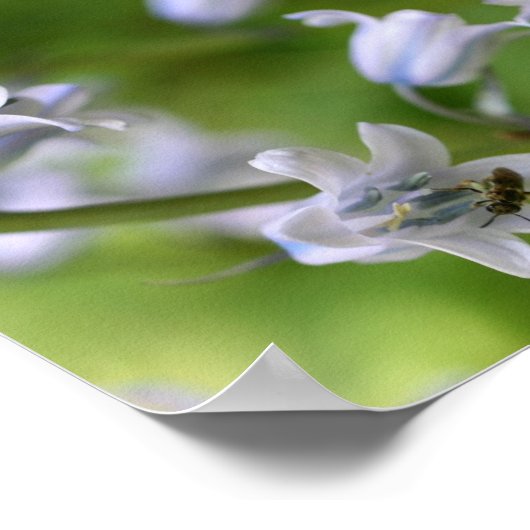 Bee op Bluebell Flower Abstract Poster (Hoek)
