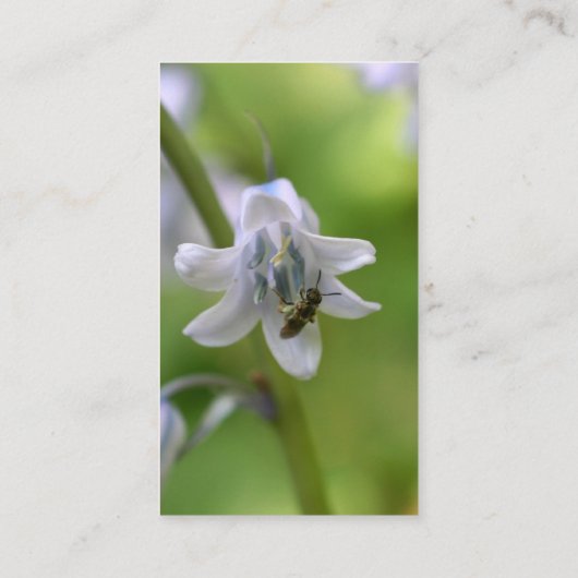 Bee op Bluebell Flower Visitekaartje (Achterkant)