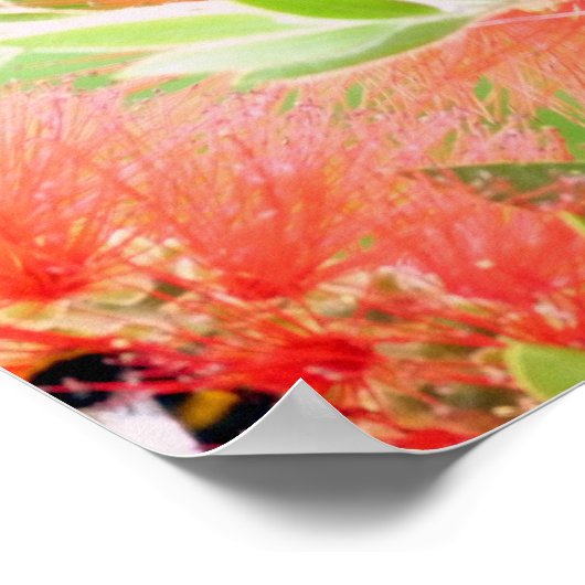 Bee op botborstel poster (Hoek)