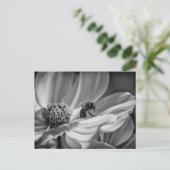 Bee op Cosmo Flower - Briefkaart (Staand voorkant)