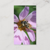 Bee op Cosmos Natuur Fotografie Visitekaartje (Achterkant)