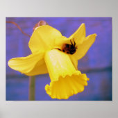 Bee op Daffodil Poster (Voorkant)