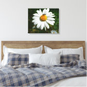 Bee op Daisy Alaskan Summer Natuur Foto Canvas Afdruk (Insitu (Slaapkamer))