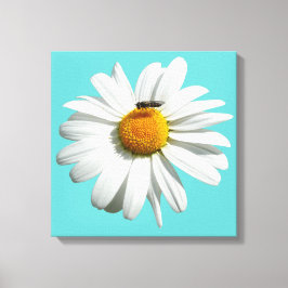 Bee op Daisy Alaskan Summer Natuur Foto Canvas Afdruk