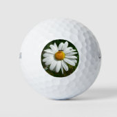 Bee op Daisy Alaskan Summer Natuur Foto Golfballen (Voorkant)